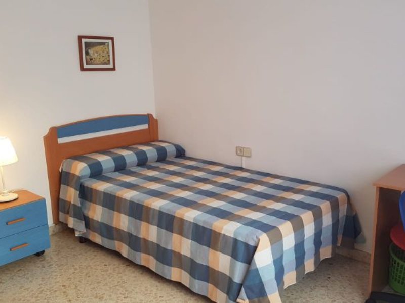 Code 952147. Room in a house with a garden to share with students