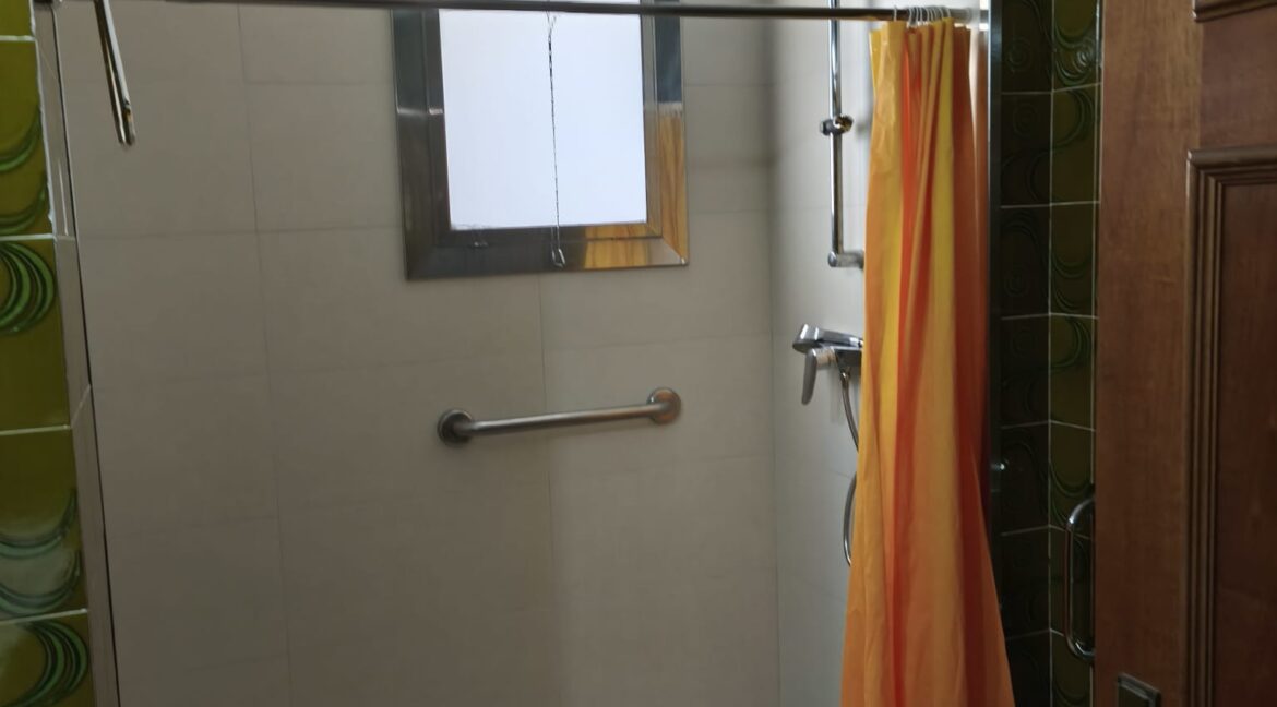 Baño verde 2