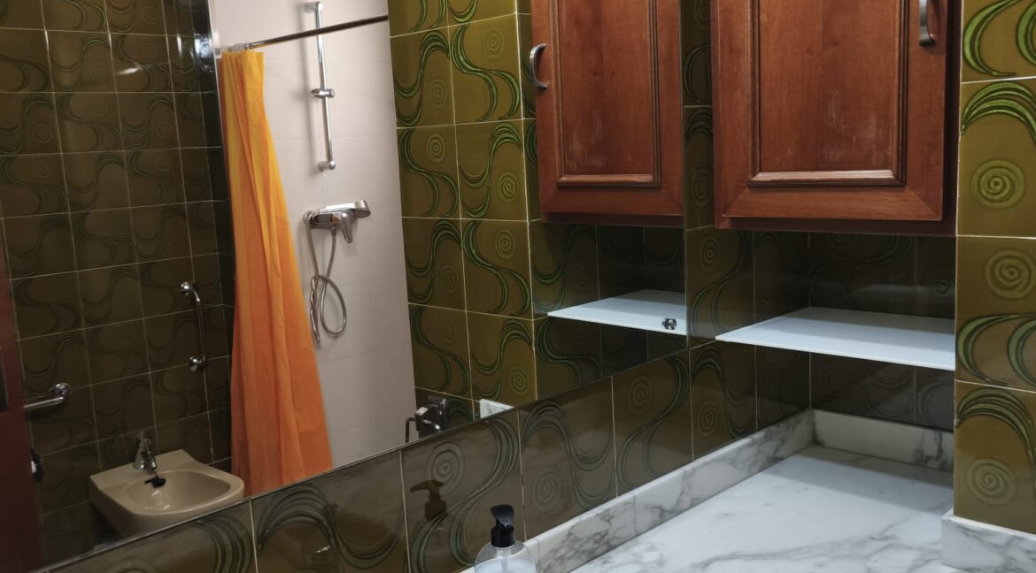 Baño verde 3