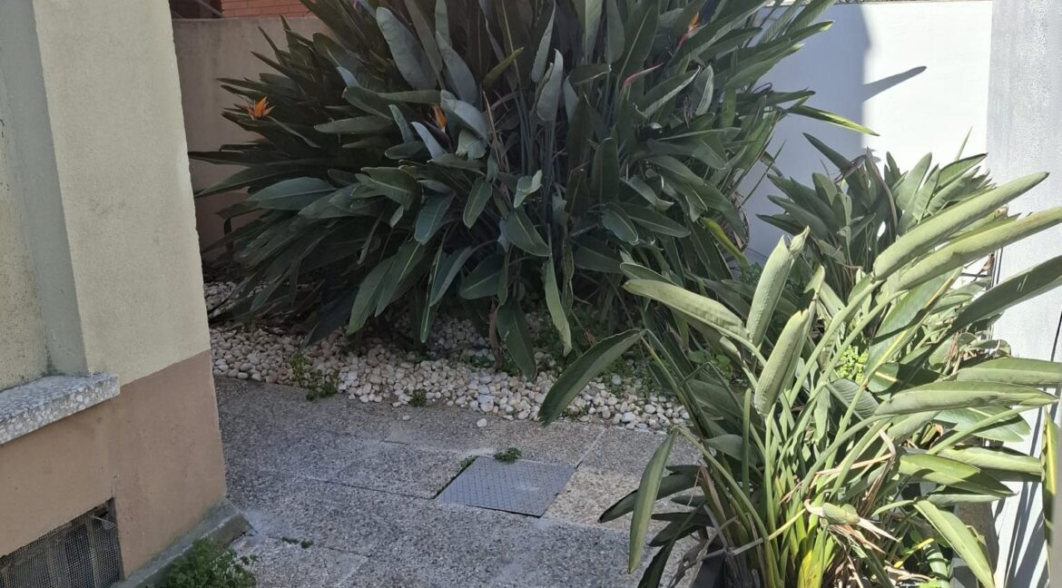 JARDIN MACETAS