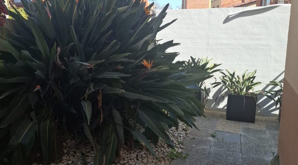 JARDIN PASILLO