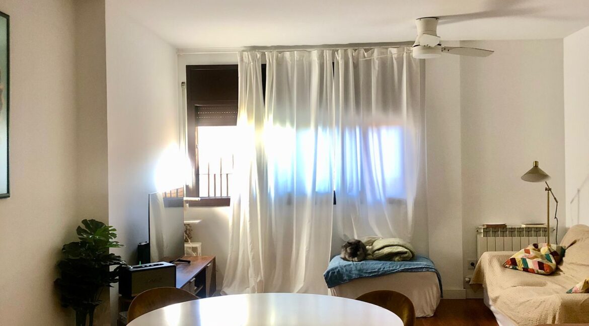 WhatsApp Image 2024-09-16 at 15.34.05 (1)