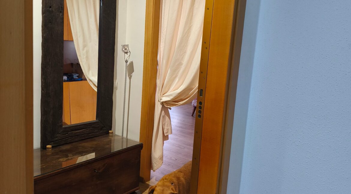 entrada2